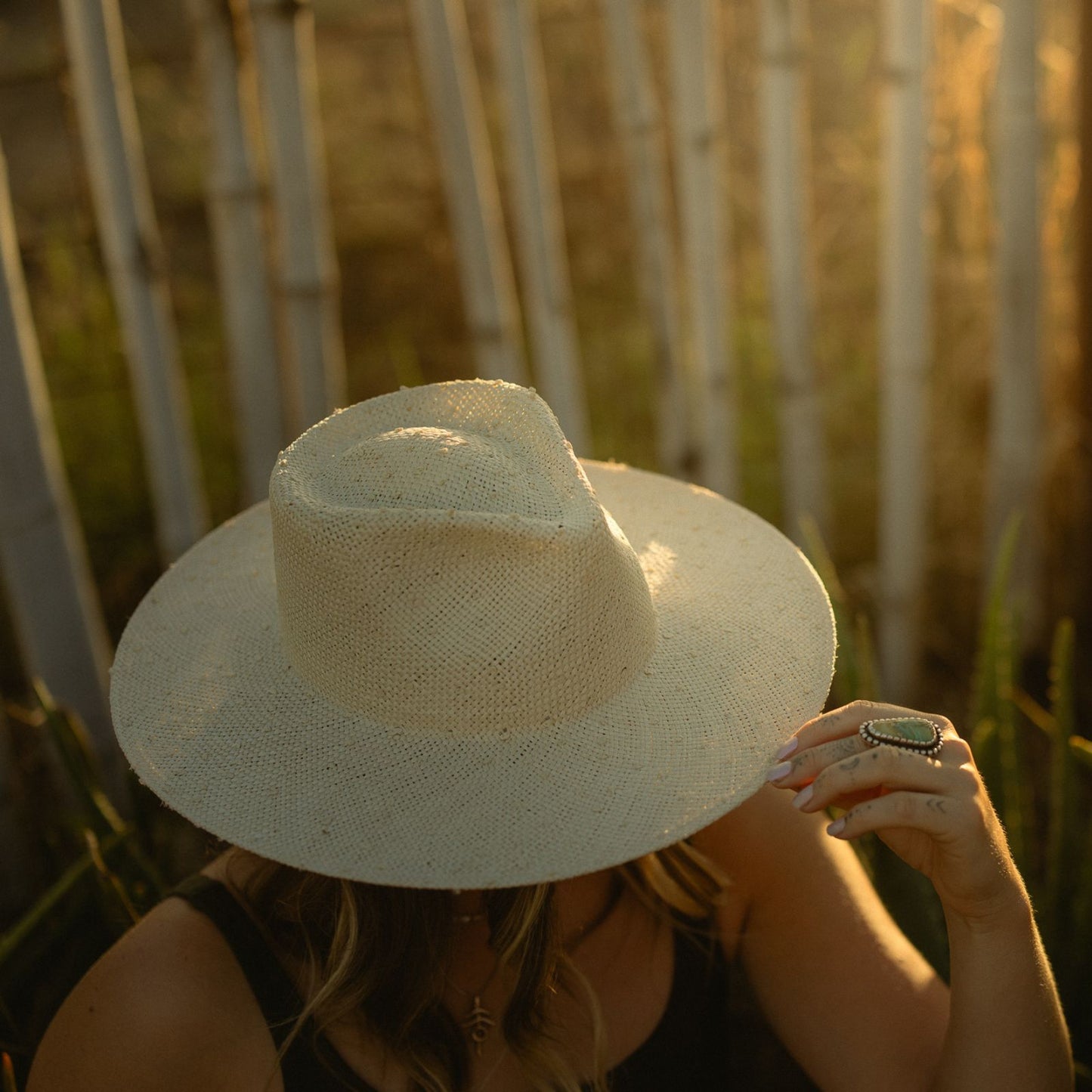 The Naturalist